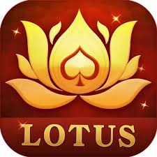 tubb teen patti download